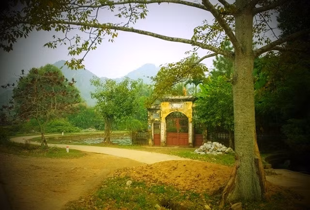 探访历史文化底蕴深厚的越南东山古村 ảnh 1