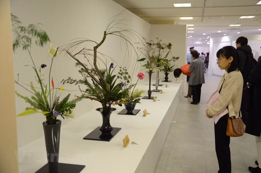 越南首次参加日本关西地区花道展览会 ảnh 1 越南首次参加日本关西地区花道展览会 ảnh 1