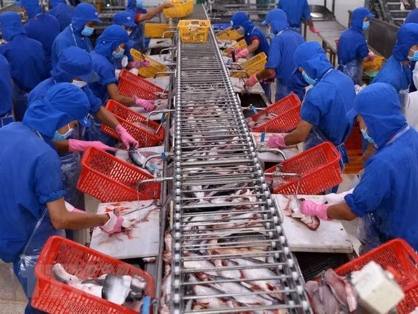 今年前2月水产品出口额增长4.4% ảnh 1 今年前2月水产品出口额增长4.4% ảnh 1