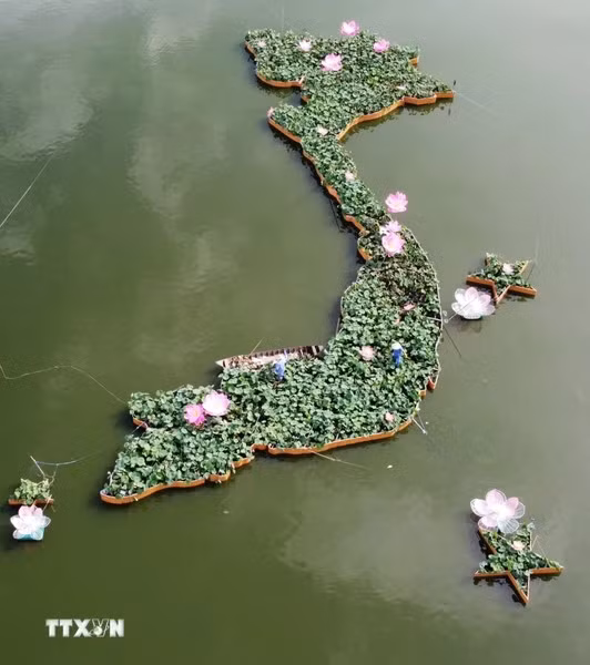 用5000个荷花盆拼出荷花版“越南地图”。图自越通社