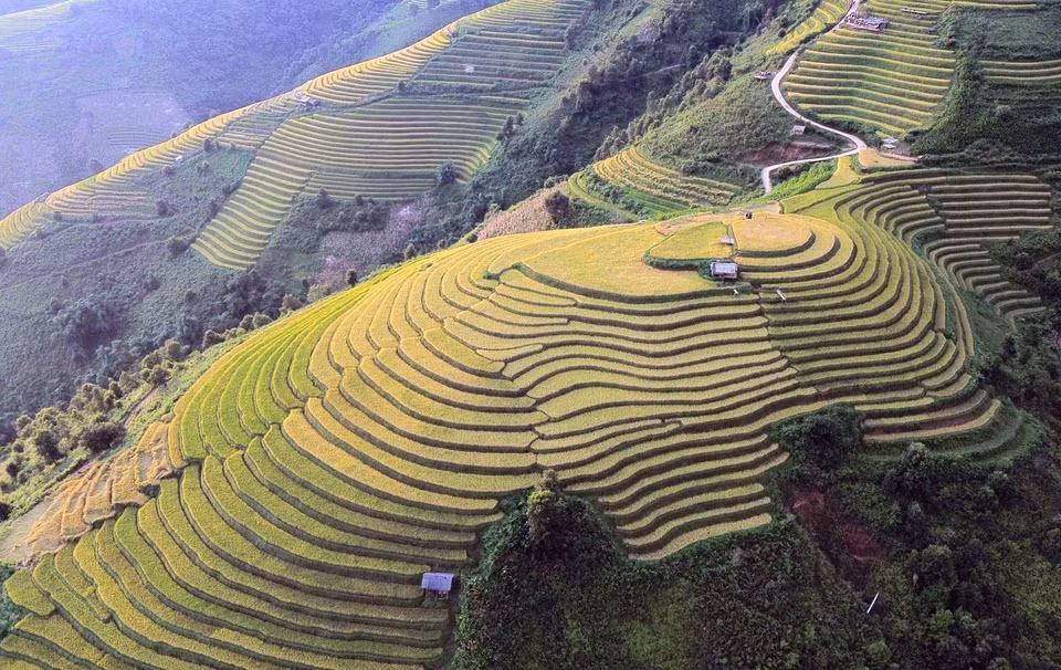北安县辛旺乡梯田，如大地之上舞动着的绸带，勾勒出一幅生机勃勃的锦绣画卷。图自越通社