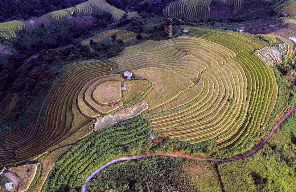 北安县辛旺乡梯田，如大地之上舞动着的绸带，勾勒出一幅生机勃勃的锦绣画卷。图自越通社