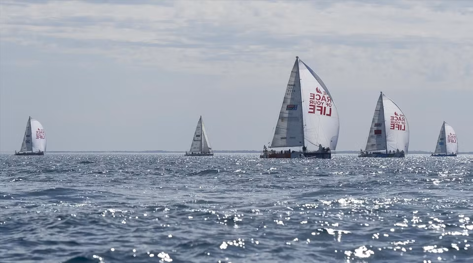 克利伯环球帆船赛（Clipper Race）第五赛段航程于2024年2月在广宁省下龙湾举行。图自越通社