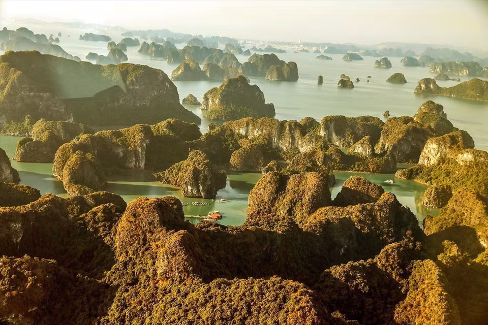 在沙特阿拉伯首都利雅得举行的联合国教科文组织（UNESCO）第45届会议上，联合国教科文组织宣布承认越南下龙湾-吉婆群岛为世界自然遗产。图自越通社