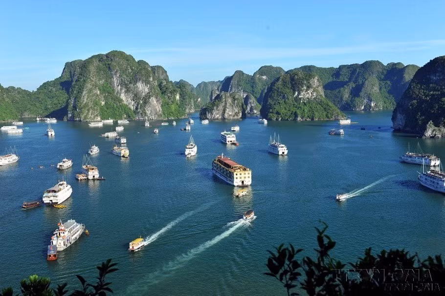 2000年12月2日，下龙湾因其独特的建造历史和喀斯特地质地貌而第二次被联合国教科文组织公认为世界遗产。图自越通社
