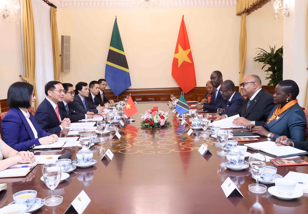 vna-potal-pho-thu-tuong-bo-truong-ngoai-giao-bui-thanh-son-hoi-dam-voi-bo-truong-ngoai-giao-va-hop-tac-dong-phi-nuoc-cong-hoa-thong-nhat-tanzania-8001309.jpg