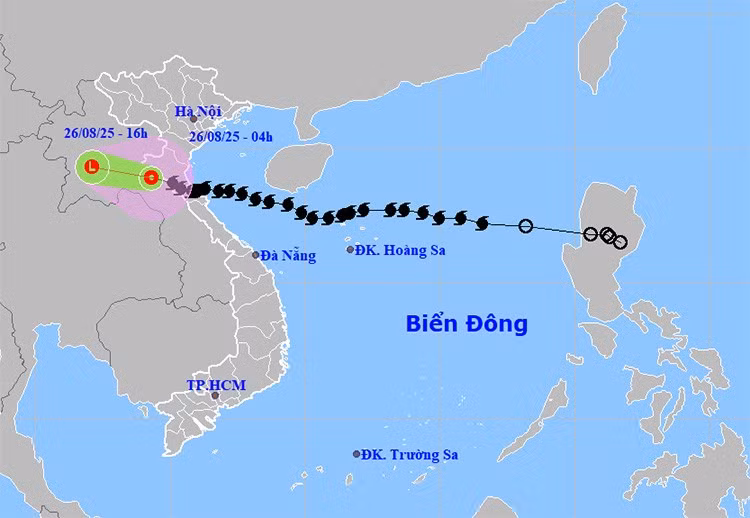 bao268.jpg
