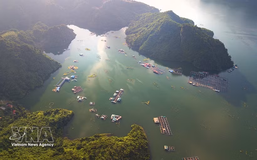 和平水电站库区（富寿省）湖水碧绿清澈、景观雄伟，成为游客不容错过的目的地。图自越通社