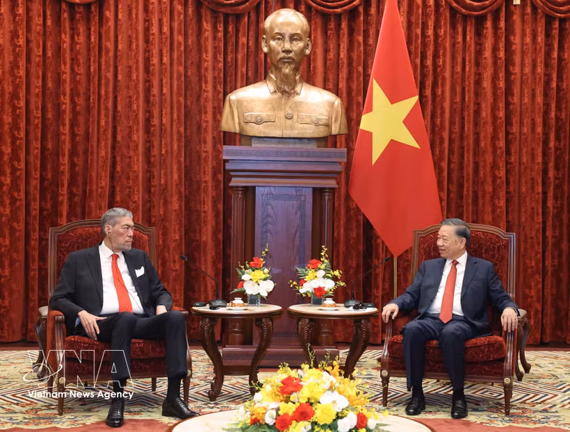 越共中央总书记、国家主席苏林与多米尼加共和国统一左翼运动党总书记米格尔·梅希亚。图自越通社
