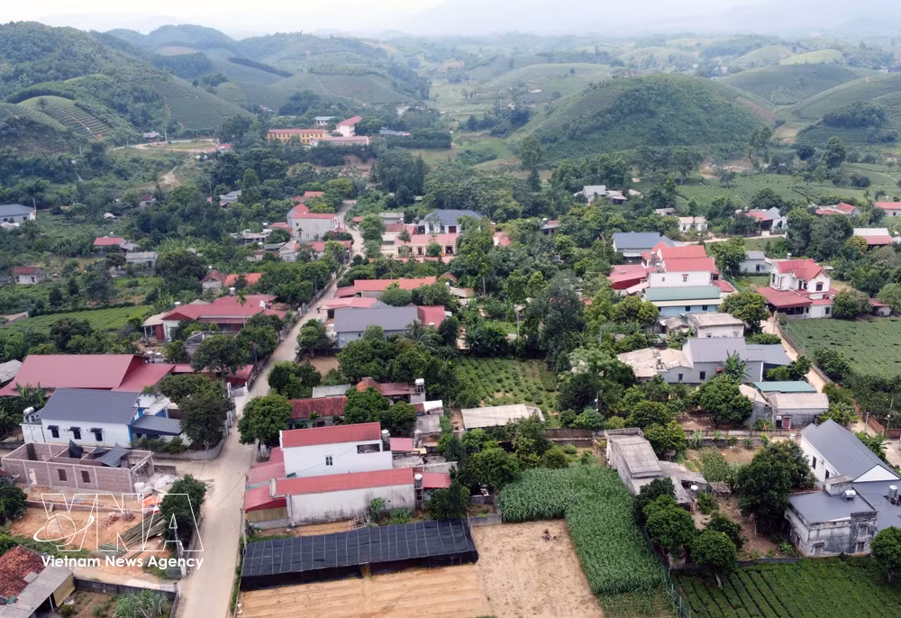 vnanet-potal-dau-an-sau-mot-nam-thuc-hien-chinh-quyen-dia-phuong-2-cap-o-phu-tho-8883322.jpg