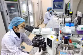 越南—欧盟扩大合作，实现技术突破
