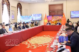 越南与中国在人工智能和数字经济领域开展合作