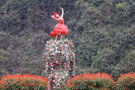 四季花开的宁平省——令人沉醉的自然风光