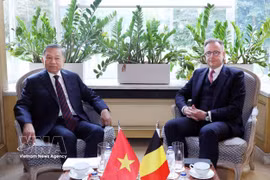 越共中央总书记、国家主席苏林与比利时首相巴尔特·德·韦弗举行会谈
