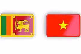越南与斯里兰卡巩固与加强友好合作关系