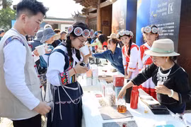 越南与中国加强咖啡产业的合作