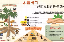 木薯出口——越南农业的新“王牌”
