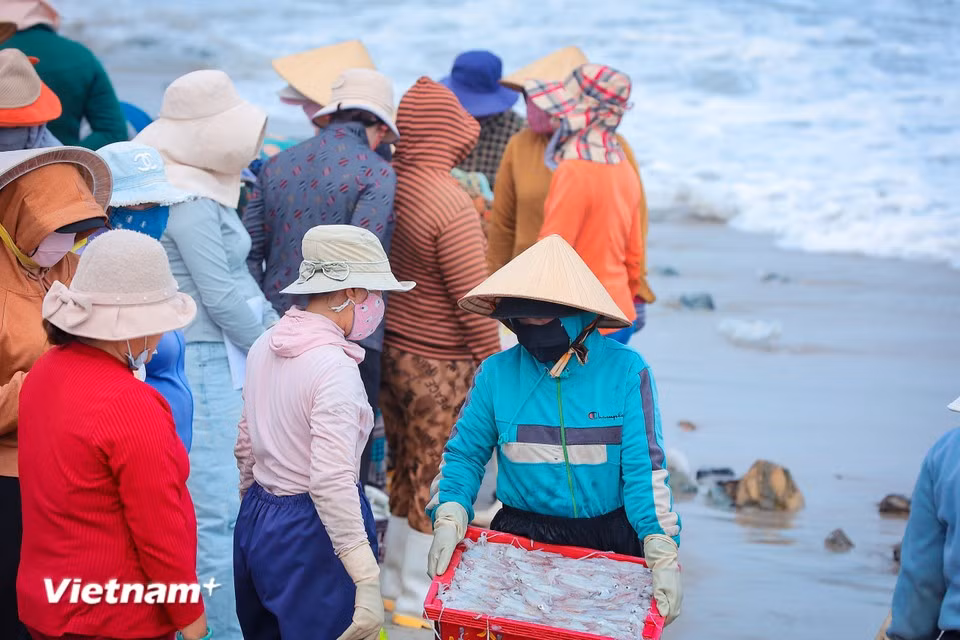 当晨曦尚未染红浪尖，永新鱼滩已是一片买卖繁忙的景象。（图自Vietnam+）