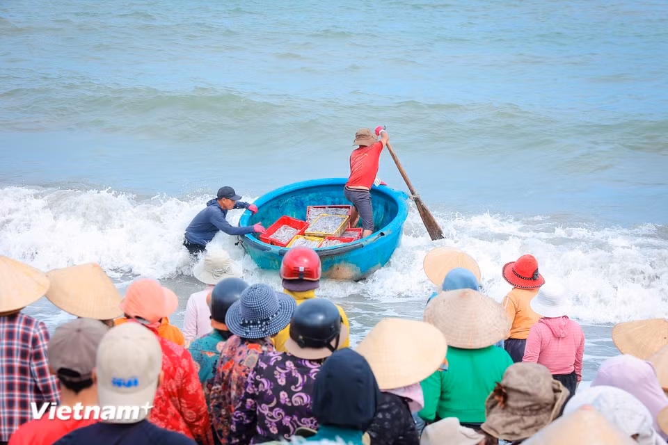 一艘艘渔船破浪靠岸，带来咸腥的气息和“大海的馈赠”。（图自Vietnam+）