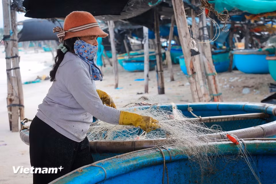 渔民们在每次收获归港后，又匆匆收拾行装，准备下一次出海。图自Vietnam+