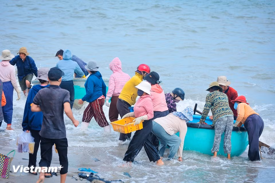 一艘艘船在渔村居民的欢欣中靠岸。（图自Vietnam+）