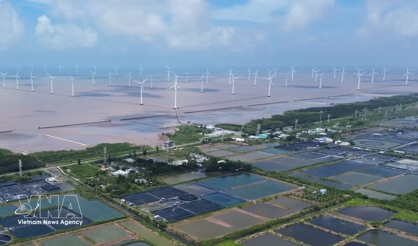 金瓯省东海乡海上风电项目。图自越通社
