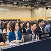 越南外交部副部长吴黎文出席第48届联合国教科文组织世界遗产委员会会议。图自越通社