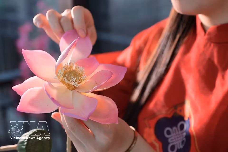每片莲花花瓣都经过手工修整、弯曲和拼接，需要精细操作，以赋予花朵柔美、自然的形态。图自越通社