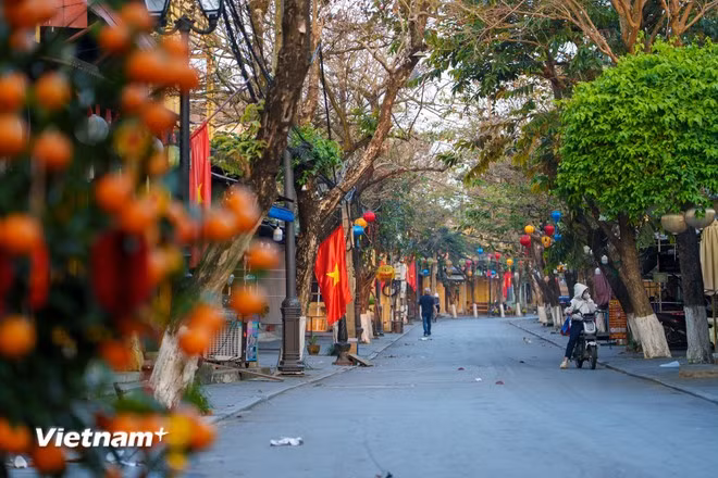 绿树成荫，红旗映衬，街道在晨光中焕发出清新而充满活力的气息。图自Vietnam+