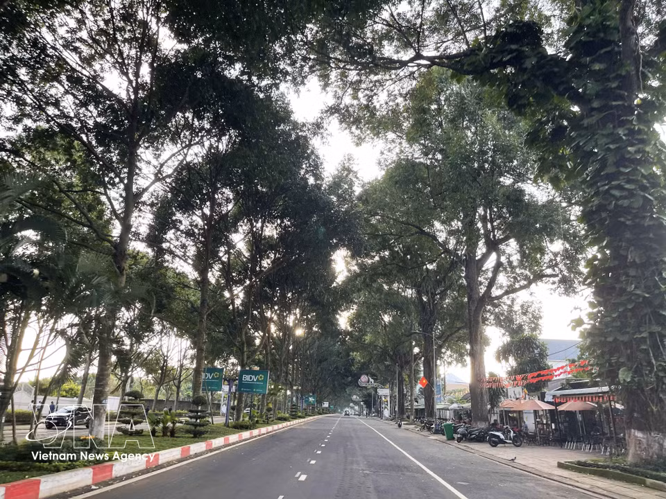 通往邦美蜀机场的耽散路。图自越通社