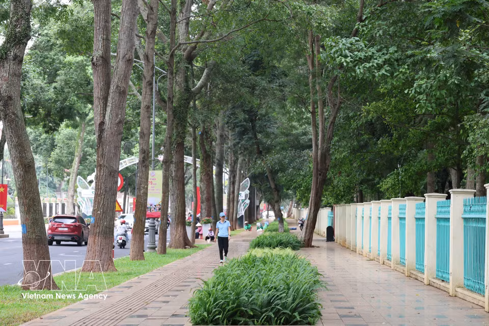 邦美蜀宽敞、绿树成荫的街道人行道空间。图自越通社