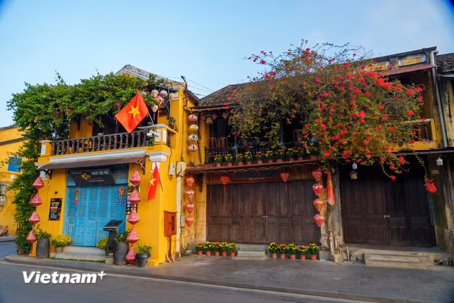 盛放的叶子花在晨光中“苏醒”。斜射的阳光在古老建筑上勾勒出明暗交织的动人色彩。图自Vietnam+
