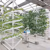 黑龙江省农业科技园智能植物育种模型。图自越通社