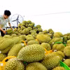 一周要闻：中国要求20类进口农产品须由主管机构出具确认函