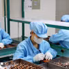 越南与新加坡在半导体产业中的互补优势