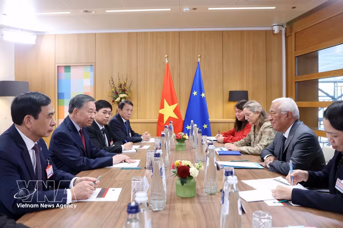 越共中央总书记、国家主席苏林与欧洲理事会主席科斯塔举行会谈 图自越通社